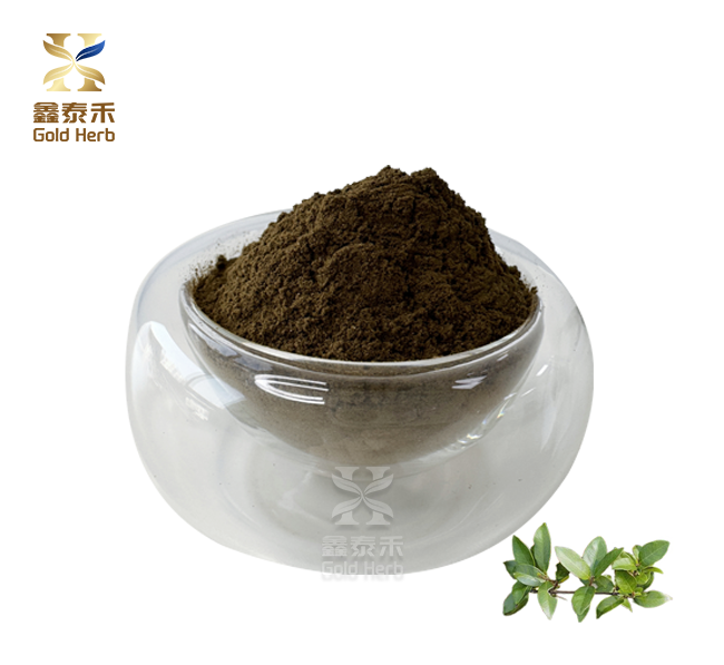 Gymnema sylvestre leaf powder Gymnema sylvestre leaf powder